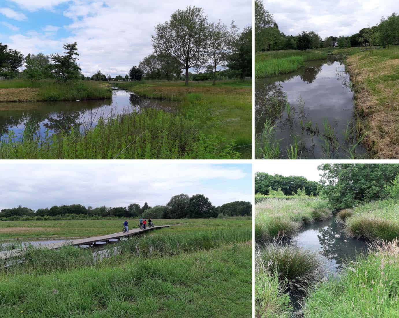 Pond complex at Frijthout study site.